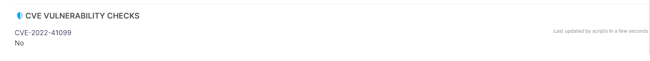 CVE-2022-41099 Related Custom Fields