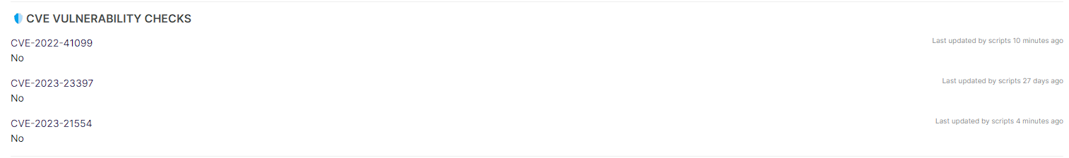 CVE-2023-21554 Related Custom Fields