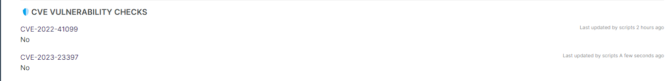 CVE-2023-23397 Related Custom Fields