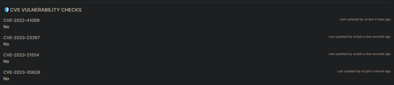 CVE-2023-35628 Related Custom Fields